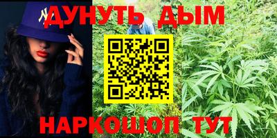 дживик Можга