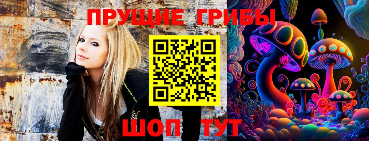 купить   Псилоцибиновые грибы MAGIC MUSHROOMS  Галлюциногенные грибы MAGIC MUSHROOMS  Вход с VPN  Ликино-Дулёво 